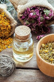 Il vero scopo dello spagirista è riuscire a estrarre l’archetipo vivente racchiuso nel vegetale