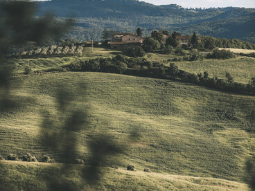 A couple sitting quietly on a bench overlooking the green countryside of the moor