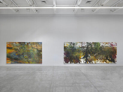 Doron Langberg, Landscapes, exhibition view. Courtesy of Jeffrey Deitch