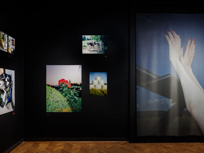 Sophie Mercedes Köchert, Salzkammergut selected II, exhibition view. Courtesy of Francisco Carolinum Linz