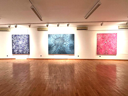 Gallery installation view from Alberto Di Fabio’s first solo exhibition in Croatia. Courtesy of the artist