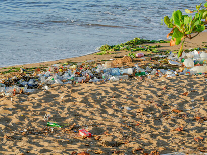 Consuming more than is necessary or that the planet can replenish harms ecosystems and human well-being