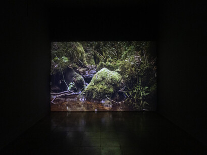 Luz María Bedoya, Other scores of water, exhibition view. Courtesy of proyectoamil