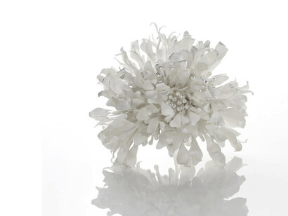 Organismo plateado, Rocío de ramita de sakura, 2024