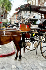 Horse-drawn carriages called kalesa © Alma Reyes