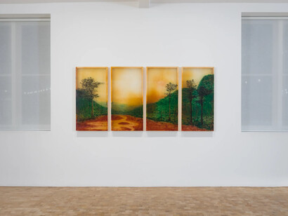 KV Duong, Where wound becomes water, exhibition view. Courtesy of Pippy Houldsworth Gallery