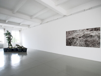 Artisti vari, Galleria Tucci Russo, 50mo anniversario ottobre 1975 – ottobre 2025, veduta della mostra. Cortesia della Galleria Tucci Russo