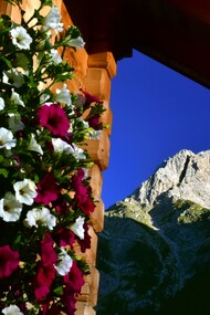 Falcade, Valle del Biois, foto Moreno Tomaselli