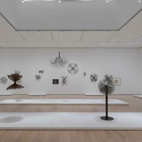 Ruth Asawa, A retrospective, exhibition view. Courtesy of MoMA