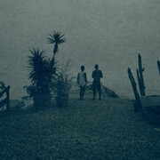 Thibaud Yevnine, Sans titre, cyanotype (détail), 2025. Avec l'aimable autorisation de La Châtaigneraie © Thibaud Yevnine