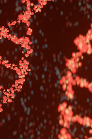 La double hélice de l'ADN, la structure fondamentale qui encode le plan de la vie, révélant l'essence de l'information génétique
