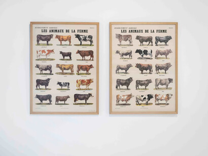 Roger Raveel and Marcel Broodthaers, exhibition view. Courtesy of Gallery Sofie Van de Velde