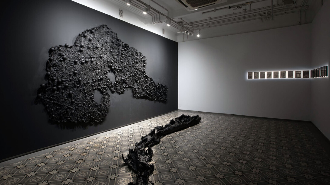 Pushpakanthan Pakkiyarajah, No race, no colour, exhibition view. Courtesy of Experimenter Gallery