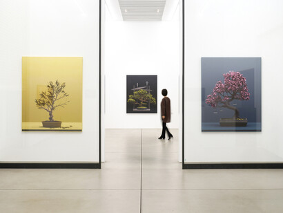 Erin Wright, Nearly natural, exhibition view. Courtesy of Maki Gallery