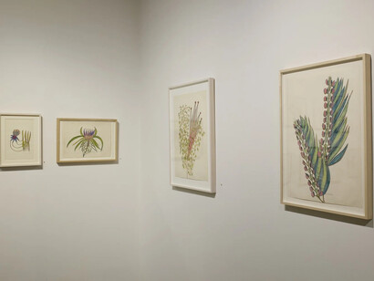 Anna Zemánková, Collaging the visition, exhibition view. Courtesy of Cavin Morris Gallery