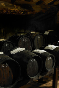 Gran Deposito Aceto Balsamico di Giuseppe Giusti