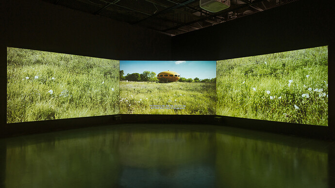 The Secret Life | Meer