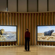 King of the Animals. Courtesy of SCHIRN