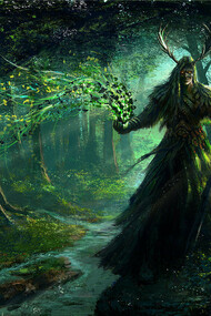 La Quercia della Conoscenza