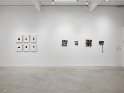 Various artists, A petal's edge, exhibition view. Courtesy of Casemore Gallery