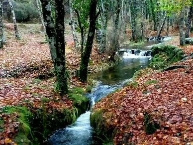 Parque Nacional da Peneda - Gerês. Portugal é o país que nos permite tomar um pequeno-almoço farto no Minho e almoçar a Trás-os-Montes, tudo numa manhã, cruzando menos de 218 kms. A sua posição no extremo sudoeste da Europa, abraçado pelo Oceano Atlântico, confere-lhe características geográficas e climáticas únicas que moldaram o território ao longo dos séculos