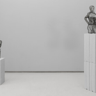 Anna-Lena Krause e Viktor Petrov, Through invisible walls, veduta della mostra. Per gentile concessione della Galleria Tempesta