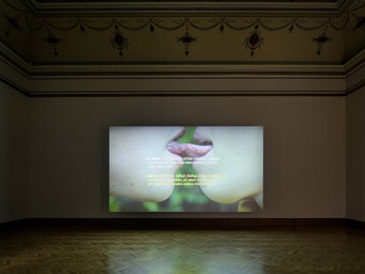 Iván Argote, Radical tenderness, exhibition view. Courtesy of Galerie Rudolfinum