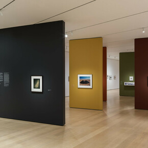 Time travelers: photographs from the Gayle Greenhill collection, exhibition view. Courtesy of MoMA