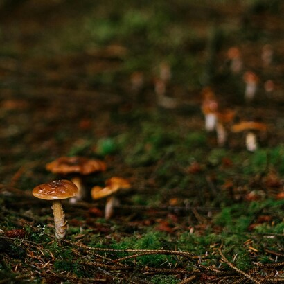 Ogni parola letta, ogni nota ascoltata, ogni immagine contemplata è una medicina per le ferite invisibili dell’umanità