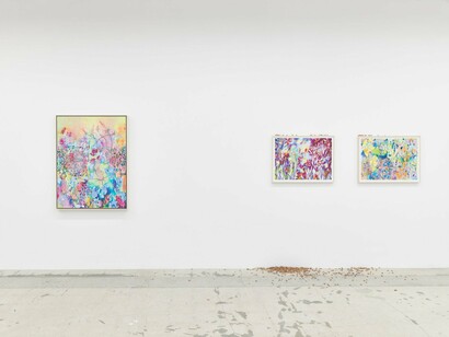 Sarah Ann Weber, I know her, exhibition view. Courtesy of Anat Ebgi 