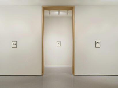 Sissi Farassat, Revelation, exhibition view. Courtesy of Edwynn Houk Gallery