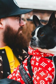 Homem e seu cachorro usam peças do trabalho conjunto entre as marcas Supreme e Louis Vuitton. Em 2017, as duas marcas lançaram uma coleção cápsula que combinava o estilo urbano da Supreme com a sofisticação da Louis Vuitton. As peças, que incluíam desde roupas até acessórios, foram produzidas em quantidades limitadas e rapidamente se tornaram itens de colecionador