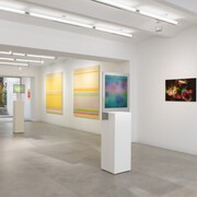 Dieter Jung, Life of colors, exhibition view. Courtesy of the Kornfeld Galerie
