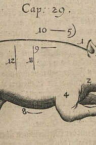 "Cochinillo", ilustración del libro "Gastronomía, cultura alimentaria, modales en la mesa, comida y preparación", 1657