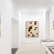James H.D. Brown, I want to know, vista della mostra. Per gentile concessione di Galleria Valentina Bonomo e Galleria Alessandra Bonomo