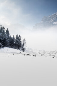 Winterlight, ph. by M. Stillwater