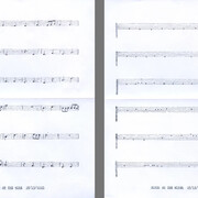 Lenka Clayton, Birds on the wire in the series "Typewriter drawings", 2025. Courtesy of Catharine Clark Gallery