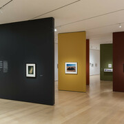 Time travelers: photographs from the Gayle Greenhill collection, exhibition view. Courtesy of MoMA