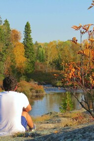 Wondering and reflecting on how to be a 'butterfly' in nature