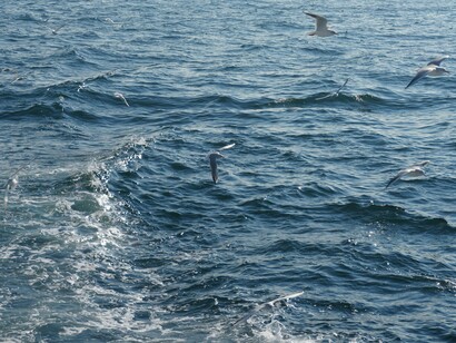 Faz-nos tremer. Numa era de valorização da saúde mental, confronta-nos com a fragilidade do corpo, com a delicadeza da mente e com o estalar súbito que nos retira do mundo de carne e osso
