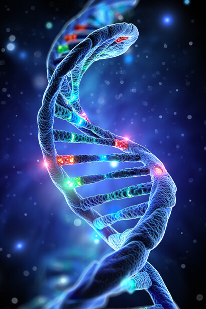 Das Forschungsthema von Professor Luisi: die DNA. Professor Luisi (und viele andere) hatten also Recht – DNA ist kein Bauplan, und wir sind nicht wie ein Stromkreis in einer Maschine fest verdrahtet. Bild: DNA Spirale