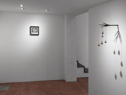 Camilla Taylor, Unkindness, exhibition view. Courtesy of Track 16 Gallery