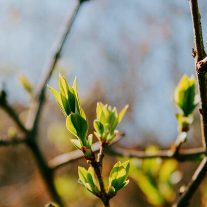 Il vero coraggio non consiste nell’assenza di paura, ma nella capacità di agire nonostante l’incertezza