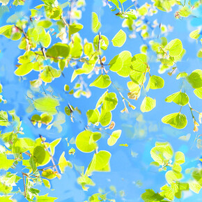 Ralf Peters, Sweets 6 Mo (detail), 2024. Courtesy of Bernhard Knaus Fine Art Gallery