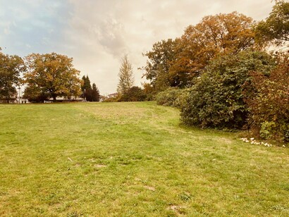 Solitude only turns to loneliness if you forget to look up © Photo by John Macanas