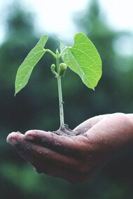 Tendere la mano verso uno sviluppo aziendale più sostenibile 