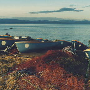 Koji Onaka, Aomori Natsudomari (detail), 2021. Courtesy of Blue Lotus Gallery