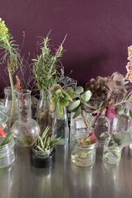 Home garden, photo Claudia Zanfi