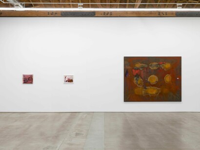 Emma McIntyre, Aragonite and conchiolin, exhibition view. Courtesy of Château Shatto