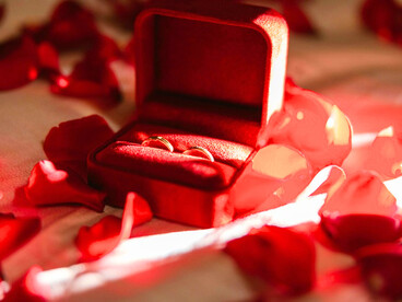 Two rings among roses, representing the protagonist's dream for a long-lasting romance that quietly died